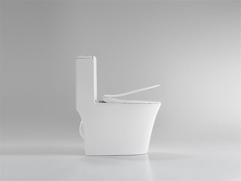 Beno Elongated Toilet Dual Flush - Side View Open Toilet Seat