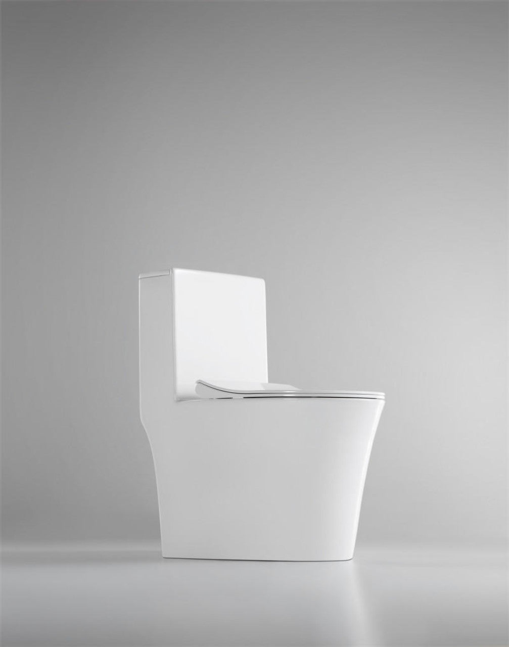 Beno Elongated Toilet Dual Flush - View From Bottom 2