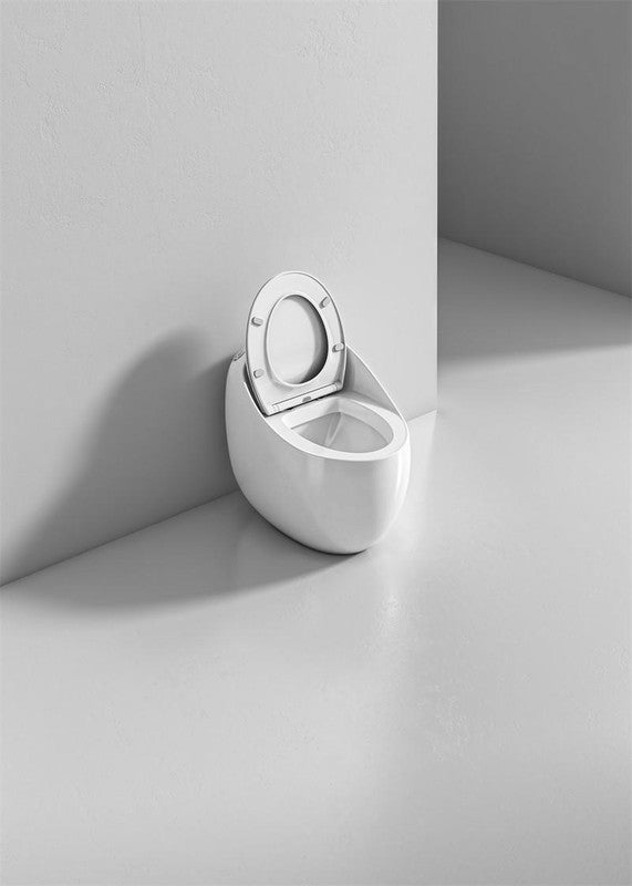 Beno Series Rounded Single Flush Toilet Main View Open Toilet Seat