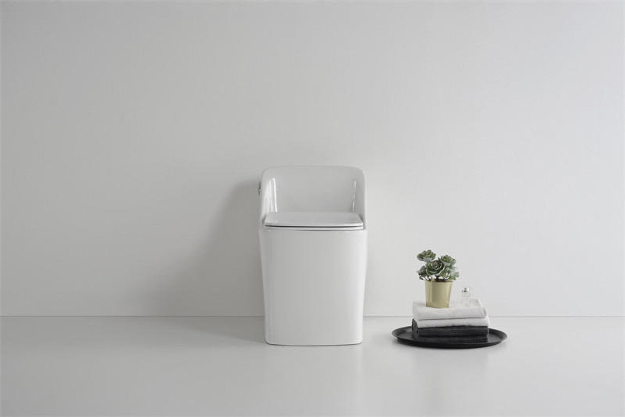 Beno Series Square Toilet Single Flush Front View Closed Toilet Seat