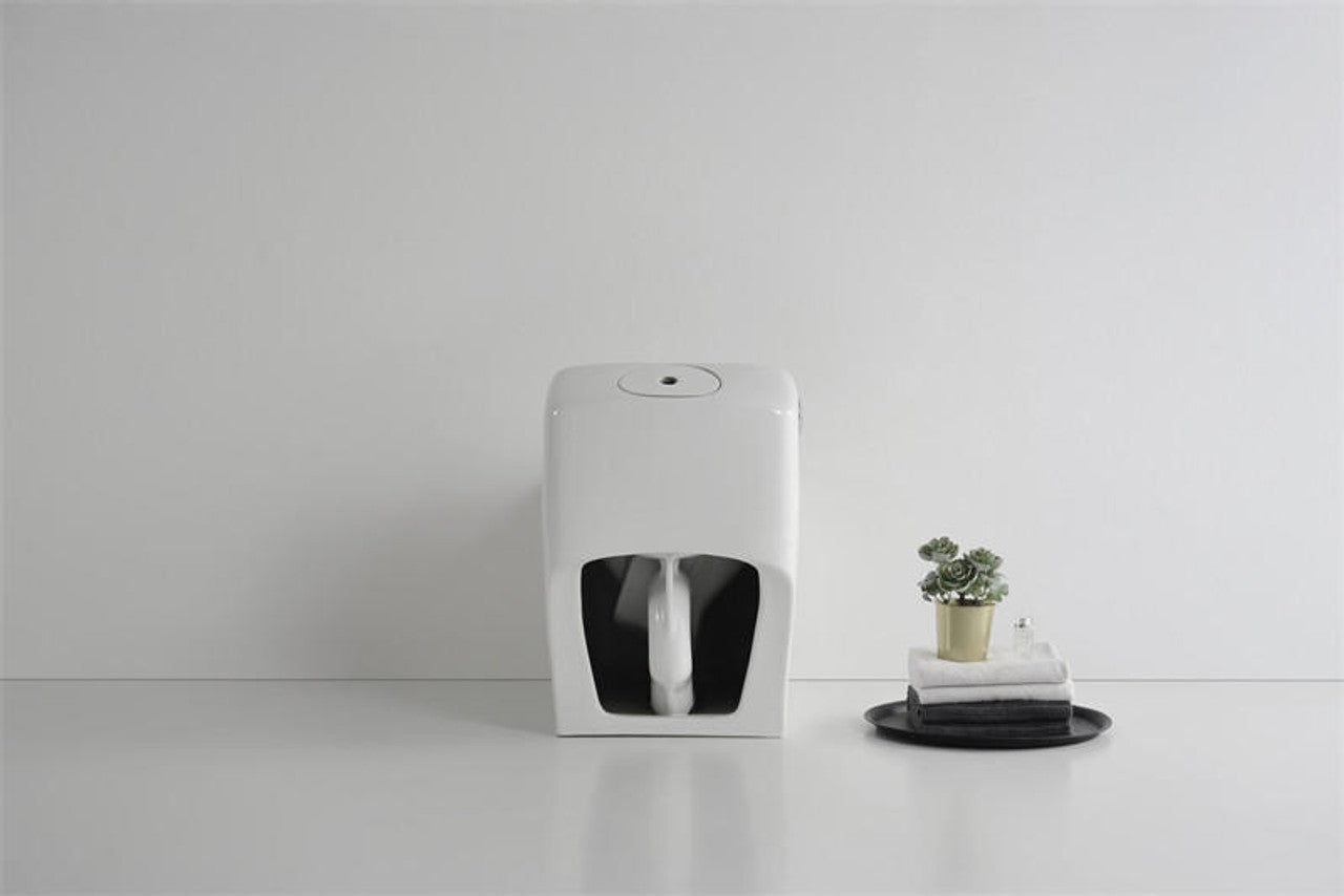 Beno Series Square Toilet Single Flush Main Image Rear View