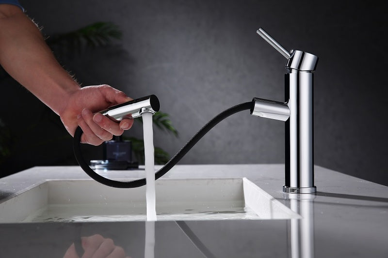 Vesta Chrome Faucet with Hose