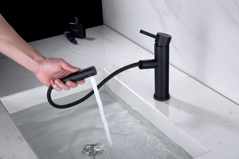 Vesta Brushed Nickel Faucet with Hose