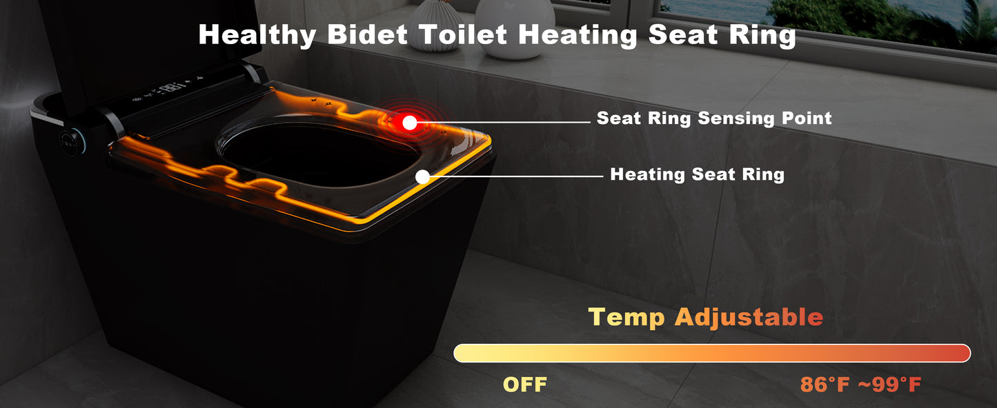 T2605 Matte Black Smart Toilet with LED Screen & Bidet