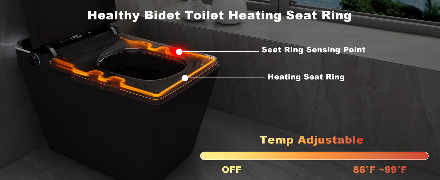 T2605 Matte Gray Smart Toilet with LED Screen & Bidet