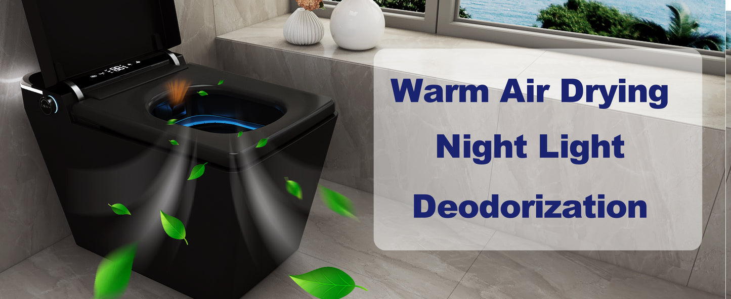 T2605 Matte Black Smart Toilet with LED Screen & Bidet