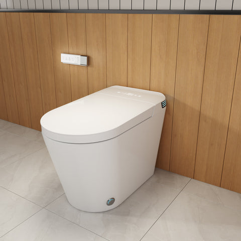 Smart Toilet with Bidet T6805